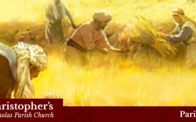 16th Sunday in Ordinary Times 2023